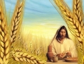 Chúa nhật Lễ Minh Máu Thánh Chúa: Các bài suy niệm và chú giải Lời Chúa