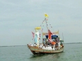 Cái gì cũng cần học