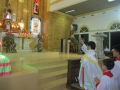 Gx Trung Nghĩa Chầu Thánh Thể Lễ Mình Máu Thánh Chúa - Mừng lễ Bổn mạng HĐMVX, các họ và thánh lễ cầu cho các kỳ thi