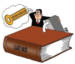 Dưới luật