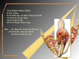 Suy niệm Chúa nhật tuần 18 Thường niên