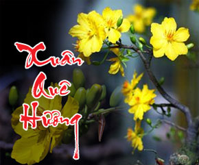 Mưa phùn - mưa Xuân