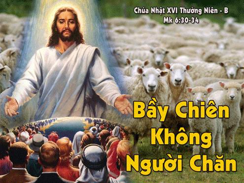Chúa nhật 16 Thường niên (B): Các bài suy niệm và chú giải Lời Chúa