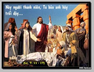 Hãy luôn biết chạnh lòng thương