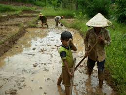 Sống cho người nghèo